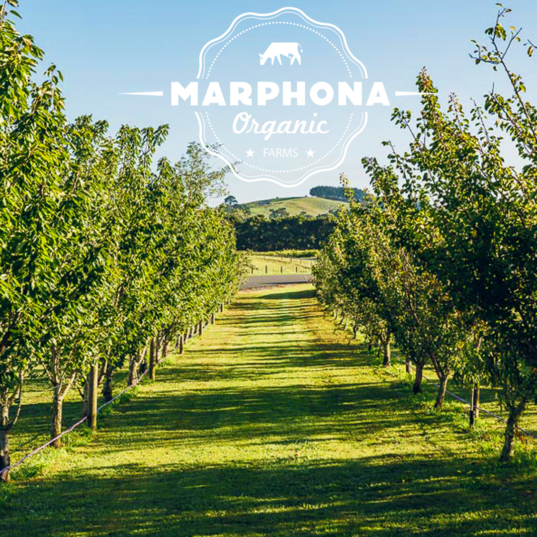 About the Farm Green Valley Dairies